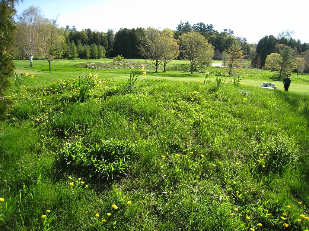 Mackinaw Island Area May 2008 0301.jpg - May 24 2008 a trip to Mackinac City for a 5 M race and a visit to Mackinac Island. A day to the UP, Paradise, Whitefish Point and Tahquamen Falls. This was followed by trips to Petoskey and Charlevoix.